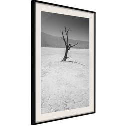 Arkiio Affisch Tree in the Desert [Poster] 30x45 Poster